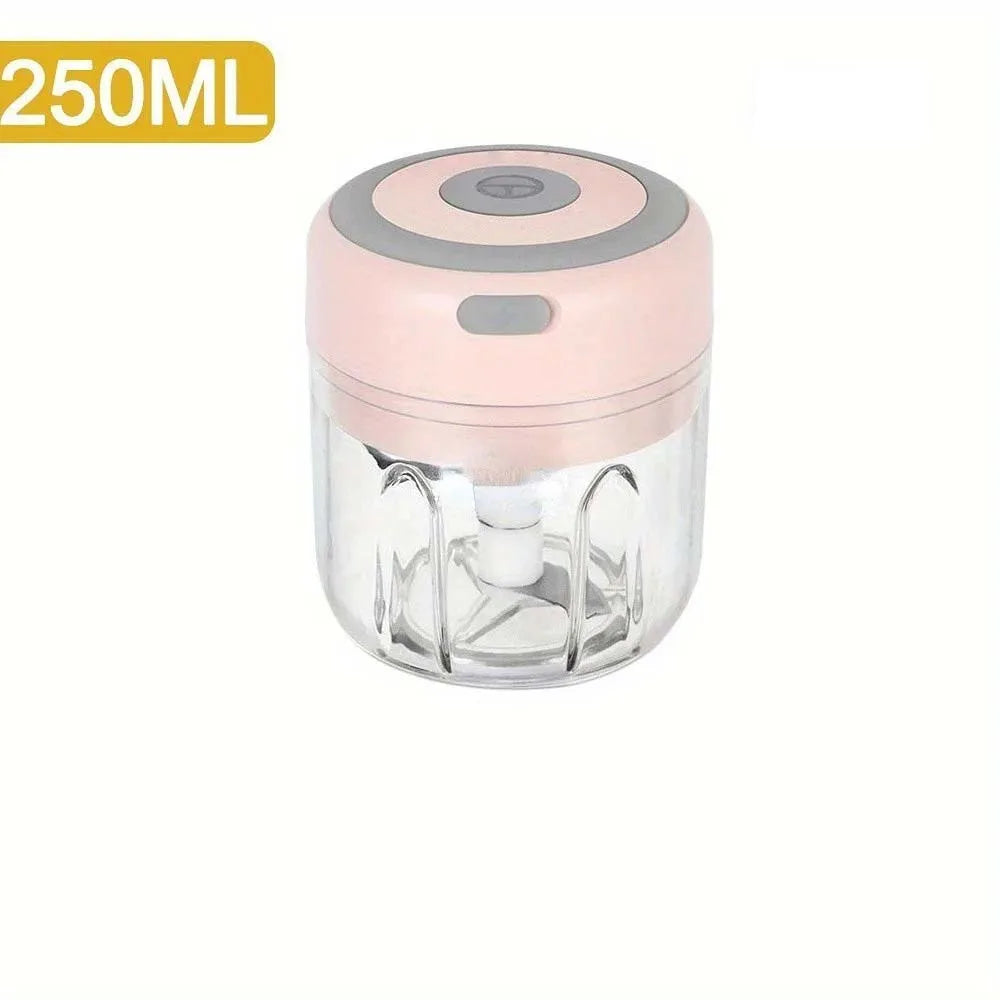 Hachoir à ail électrique en acier inoxydable de 250ML, robuste et Durable, broyeur de cuisine, Mini outil, hachoir alimentaire