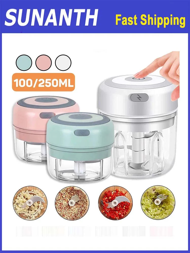 Hachoir à ail électrique en acier inoxydable de 250ML, robuste et Durable, broyeur de cuisine, Mini outil, hachoir alimentaire