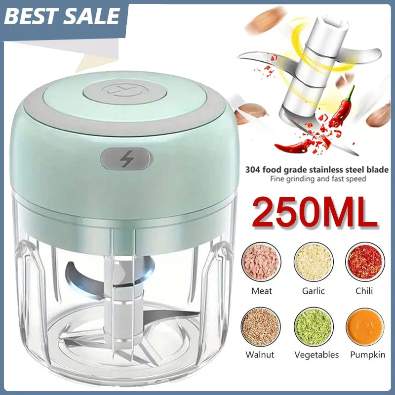 Hachoir à ail électrique en acier inoxydable de 250ML, robuste et Durable, broyeur de cuisine, Mini outil, hachoir alimentaire