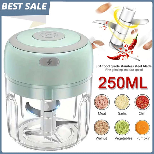 Hachoir à ail électrique en acier inoxydable de 250ML, robuste et Durable, broyeur de cuisine, Mini outil, hachoir alimentaire