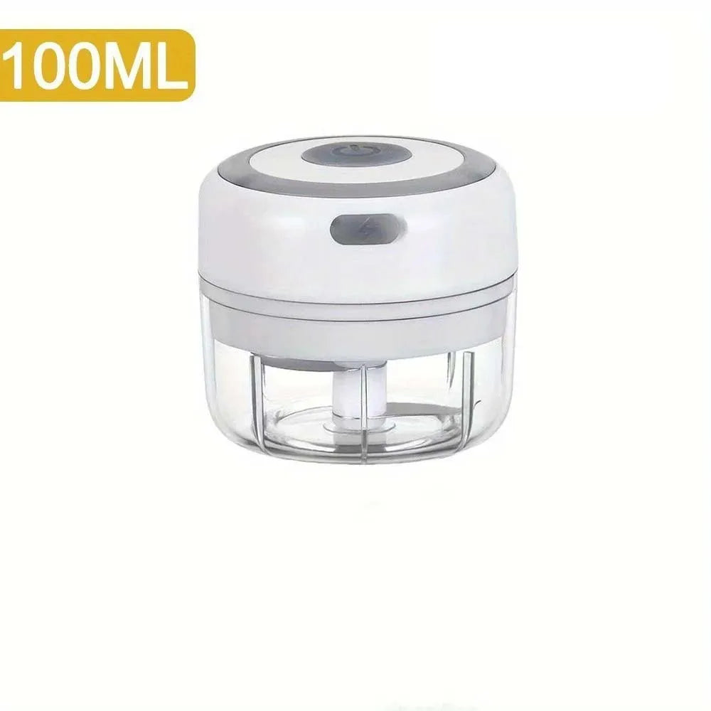 Hachoir à ail électrique en acier inoxydable de 250ML, robuste et Durable, broyeur de cuisine, Mini outil, hachoir alimentaire