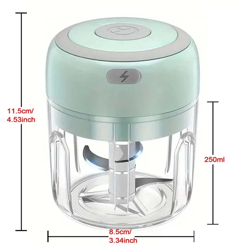 Hachoir à ail électrique en acier inoxydable de 250ML, robuste et Durable, broyeur de cuisine, Mini outil, hachoir alimentaire