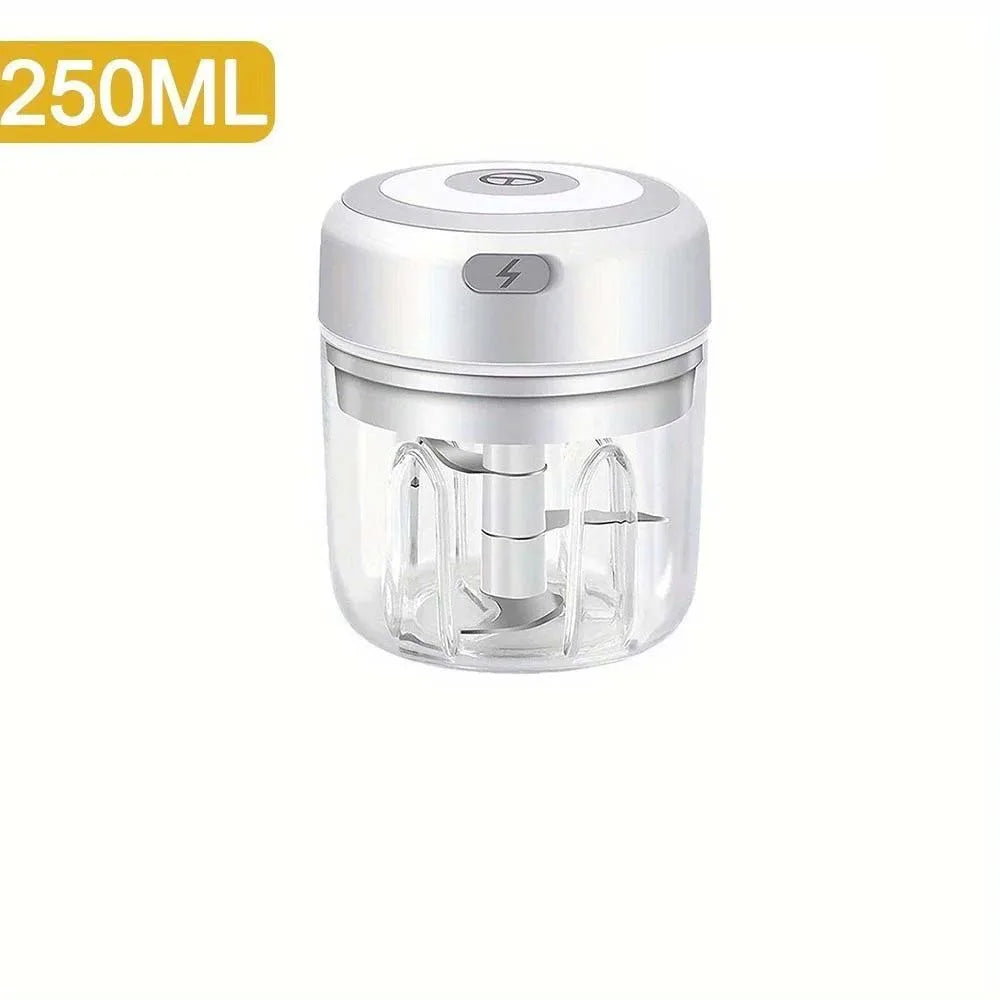 Hachoir à ail électrique en acier inoxydable de 250ML, robuste et Durable, broyeur de cuisine, Mini outil, hachoir alimentaire