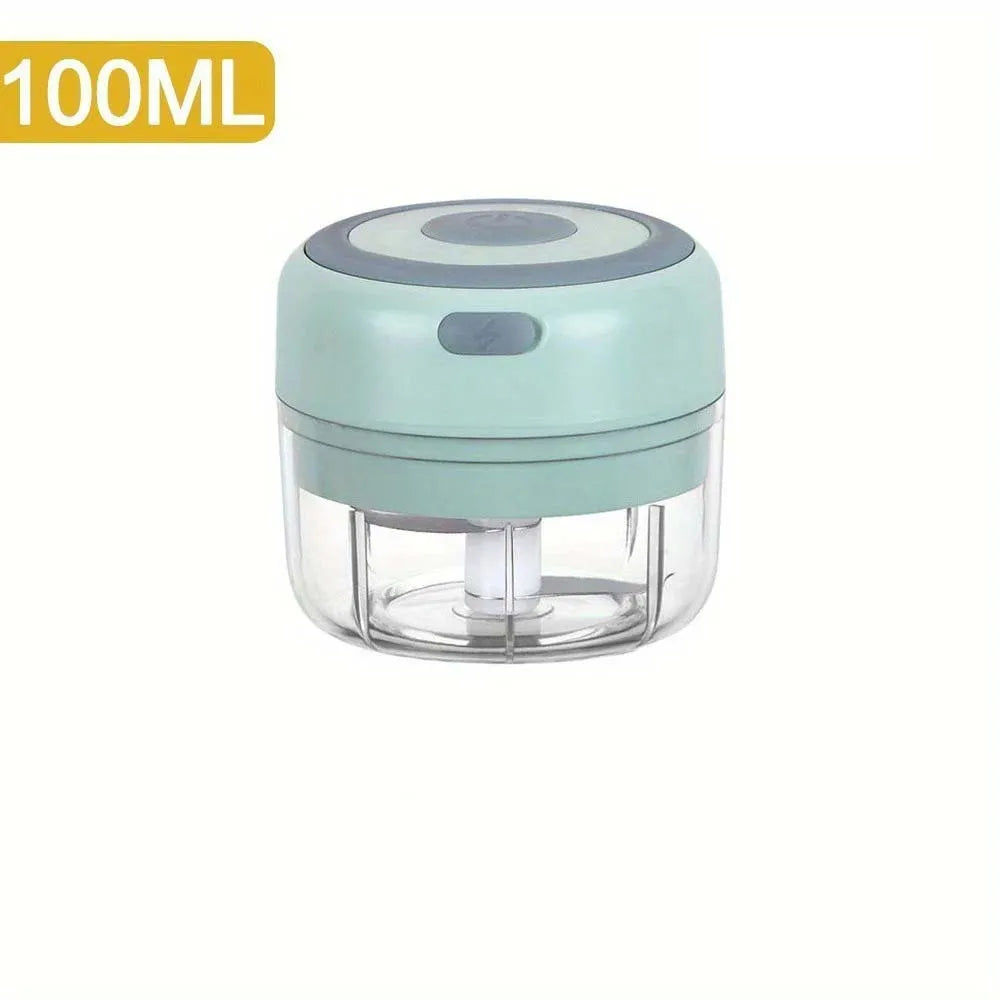 Hachoir à ail électrique en acier inoxydable de 250ML, robuste et Durable, broyeur de cuisine, Mini outil, hachoir alimentaire
