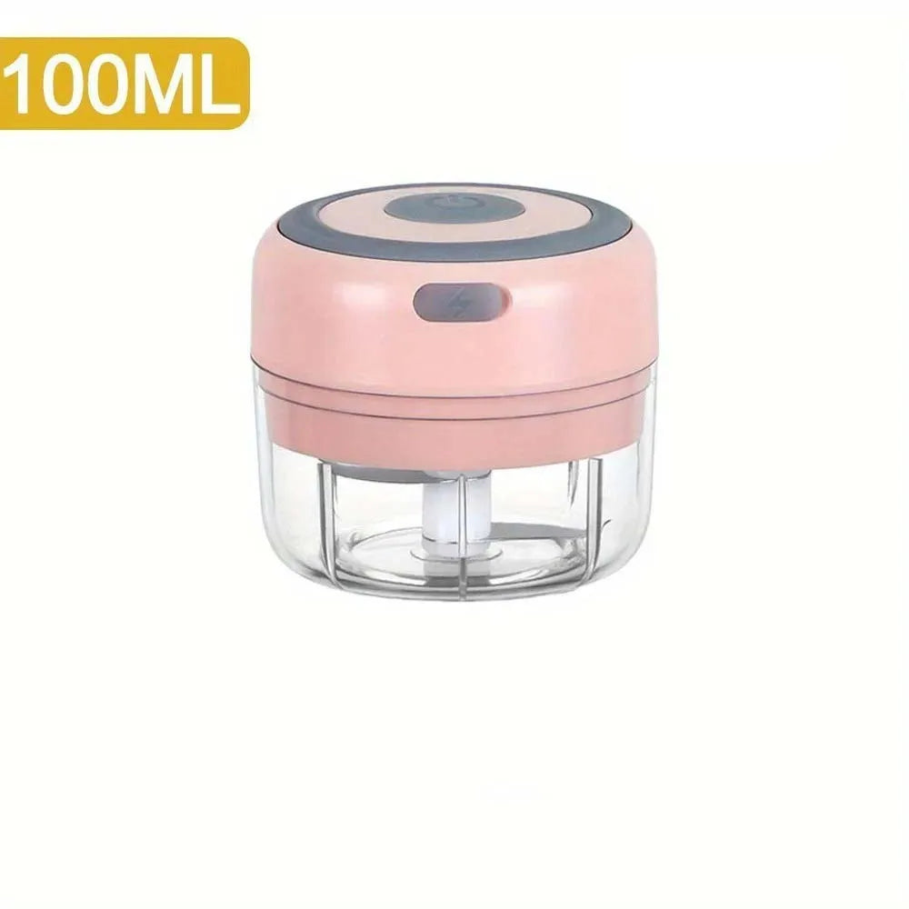 Hachoir à ail électrique en acier inoxydable de 250ML, robuste et Durable, broyeur de cuisine, Mini outil, hachoir alimentaire